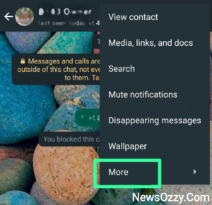 whatsapp-settings-more