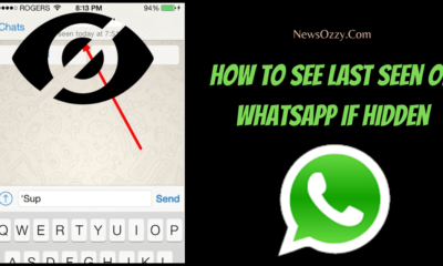 How To See Last Seen On WhatsApp If Hidden