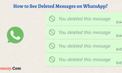 How to See Deleted Messages on WhatsApp