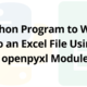 Python Program to Write to an Excel File Using openpyxl Module