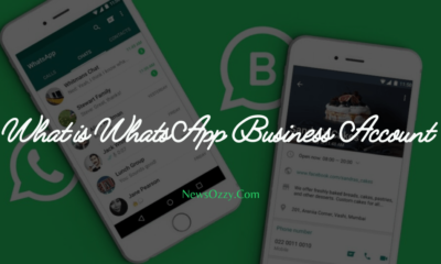 What is WhatsApp Business Account