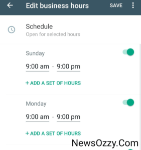  WhatsApp Business edit business hours