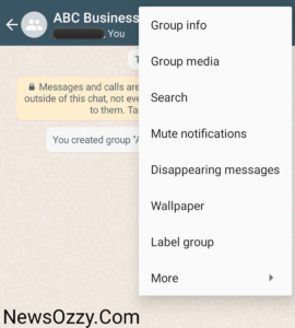 WhatsApp business group features