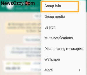 WhatsApp group info