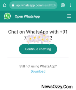 WhatsApp API phone
