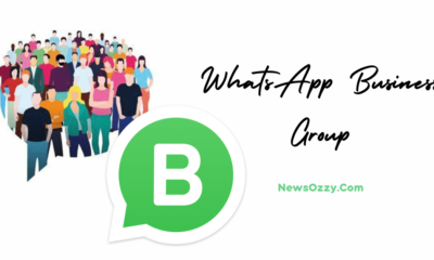 Whatsapp business group