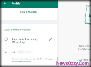 Whatsapp web business cant change number