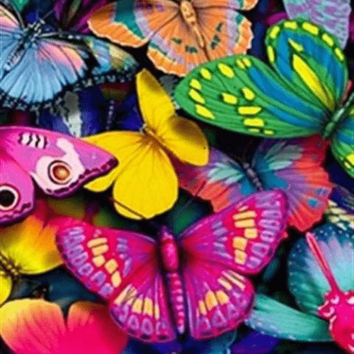 whatsapp chat wallpaper cute butterfly