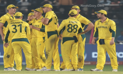 Brett Lee Says That India Lost the Match Due to Australia's Mentality