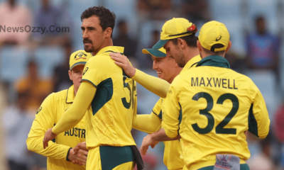 Ian Healy criticizes Mitchell Starc for his performance in the World Cup 2023