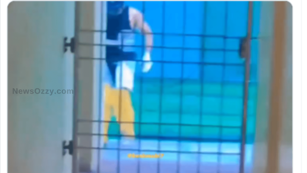 Watch MS Dhoni's Dedicated Practice Session For IPL 2024 - Video Goes Viral